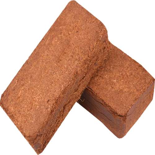 ڲҬש1顾ػݸ ޾ѹҬשӪ650g7.9Ԫ
