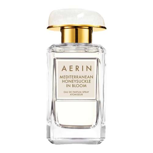  ʥ 50ml AERINɳˮ1110Ԫ