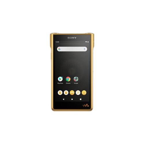 GOLD-one ֱSONY רҵЧЯ NW-WM1ZM2 302184118192605Ԫ5(38521Ԫ/)