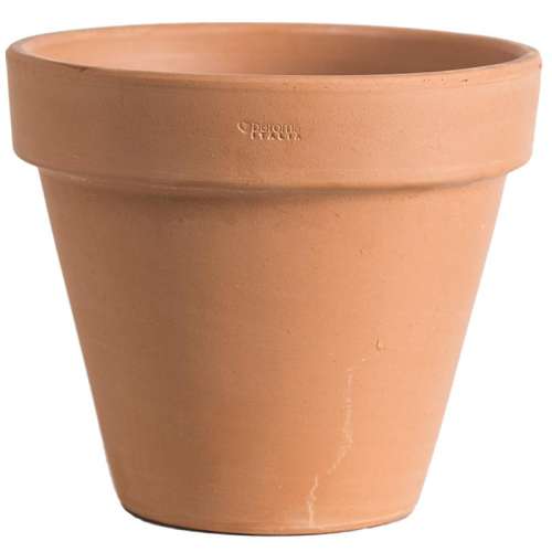 ۻ㣺ɫ  13cm к͸¿14.25Ԫ(88VIP 95)
