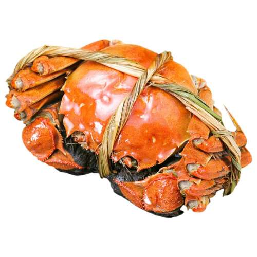 ���ڲ�����2.0-1.5�� ȫ��10ֻ ˳�ᵽ�����κ���ȫ���з��բз