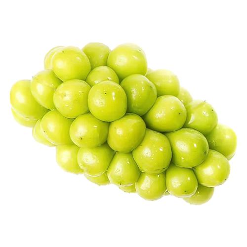 1�� 7-9g õ�������� ˳����մ�