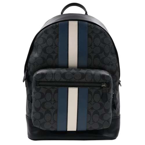 ۻ㣺ɫ COACH/ޢ۴ʿ˫米1979.8Ԫ(88VIP 95)