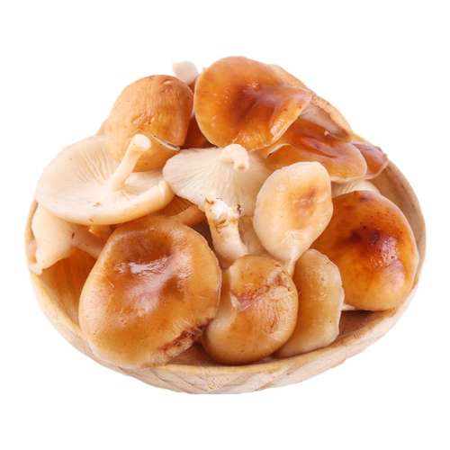 ҰС㹽飩 500g ʱҰĢĢ99Ԫ2(49.5Ԫ/)