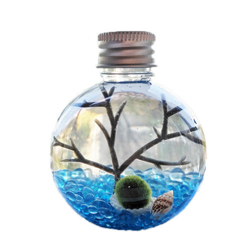 ҸMarimoʺаװ Ҹmarimo΢̬ƿ9.9Ԫ