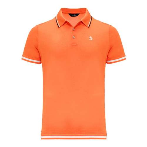 ۻ㣺ɫA640 M ˶ᱡPolo1387.8Ԫ3(462.6Ԫ/)