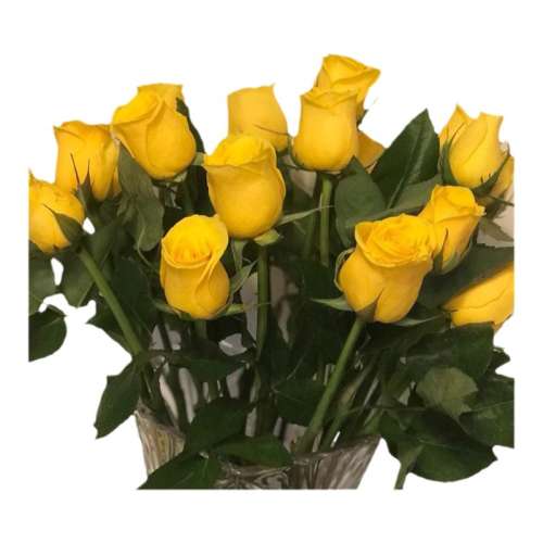 ȼҶ5֦ ֱʻֱõ廨28.41Ԫ