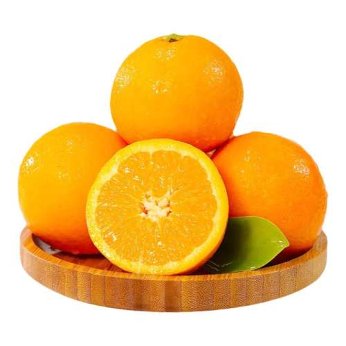 ڲ3 55mm-60mm 2024ʳ9ӦˮժȱȷǸϰ8.4Ԫ