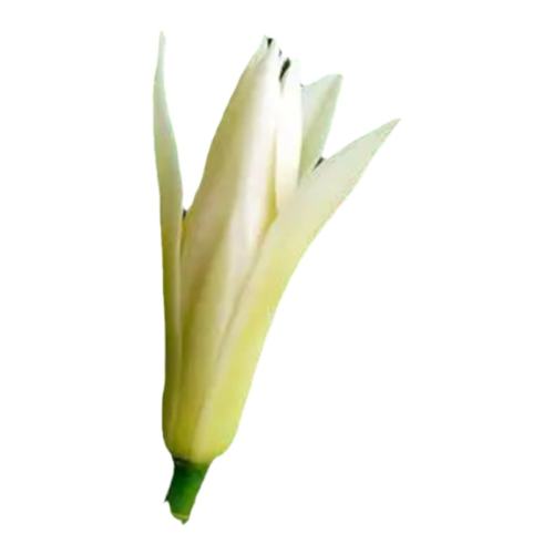 ۻ㣺50CM  ֲ̨ļ103Ԫ4(25.75Ԫ/)