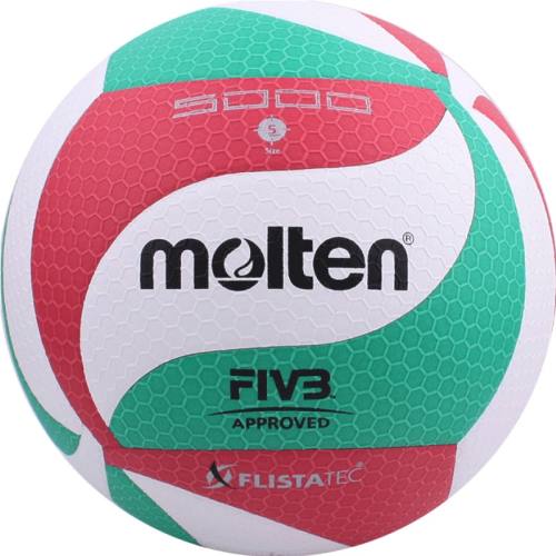 V5M4500 Ħڸߵfivb֤ר310Ԫ2(155Ԫ/)