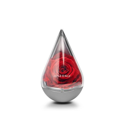 ڲHOT-ˮ-ɫ ROSEONLYˮõ廨599Ԫ