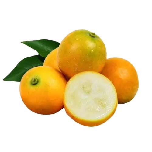 1 СʵװحͷСح65/ ƤС10ʽӦˮ۽иִ5.9Ԫ