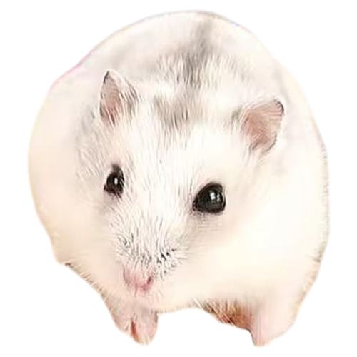 1о оϽ˿ܳ޳רֽľмɰ֦Ʒ쾰2.35Ԫ
