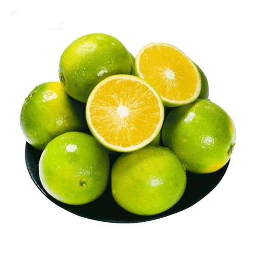 ڲ5 60mm-65mm() ϱǳֻ20ش19.8Ԫ