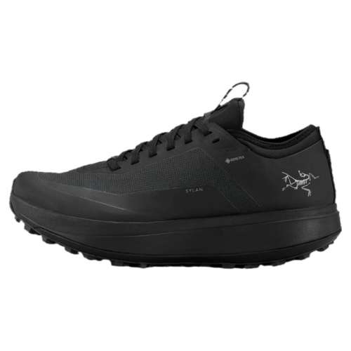 Black / Black/ɫ/ɫ 3.5 ʼ SYLAN GTX ɽЬ2400Ԫ