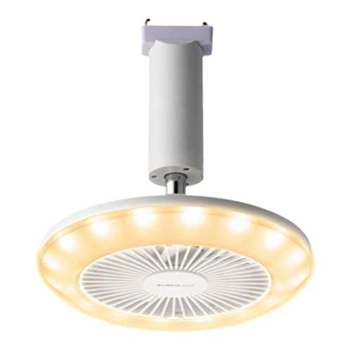 Not Specified DSLH60LWH DOSHISHA 26mm/60wѭ׳ 3 ң DSLH6ƾ297.97Ԫ(88VIP 95)