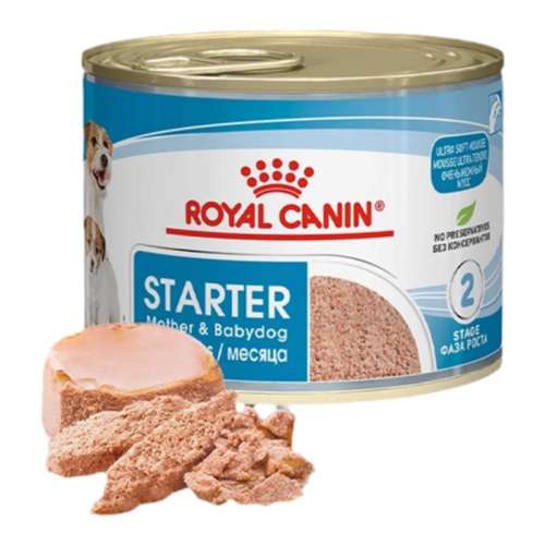 ζ 2340g ̸ROYAL CANIN/ʼ337Ԫ