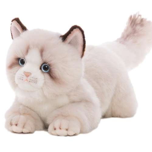 ڲż(Լ50cm*20cm) ë޿ǵ綯 żèżëè156Ԫ