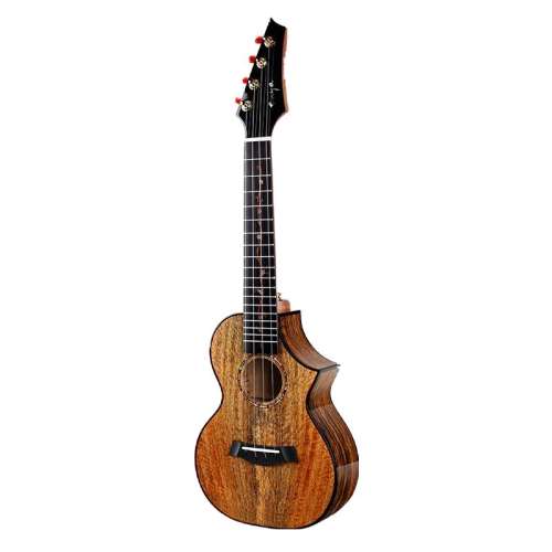 23Ӣ ԭ ȿenya ukulele10120Ԫ5(2024Ԫ/)