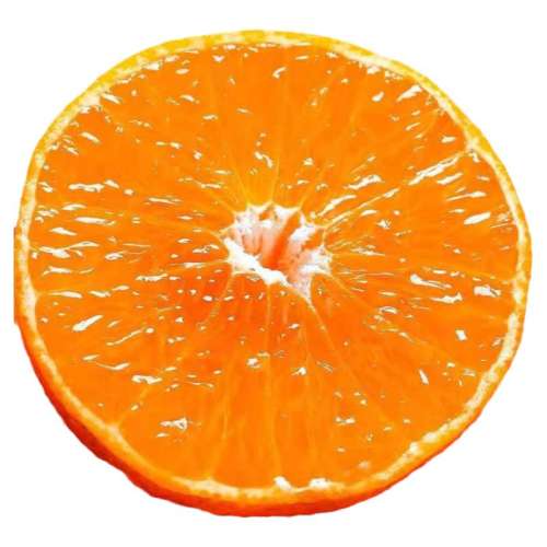 ڲ3 С55mmͷ磬ԳԳʣ ڹ̴ָƷˮӦٳȽӱժ9.7Ԫ