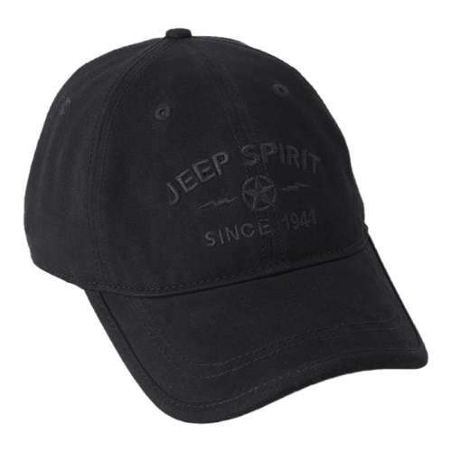 ڲɵ ɫ? JEEP SPIRITñʿ 49Ԫ