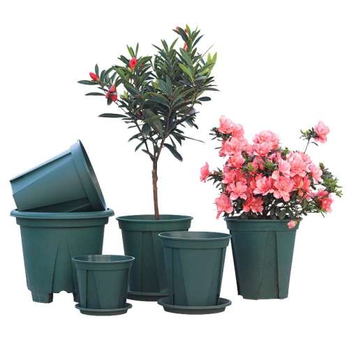 ۻ㣺WD-15cm+-5  е ձɽظϻ¼ֲˮ͸ø98.2Ԫ4(24.55Ԫ/)