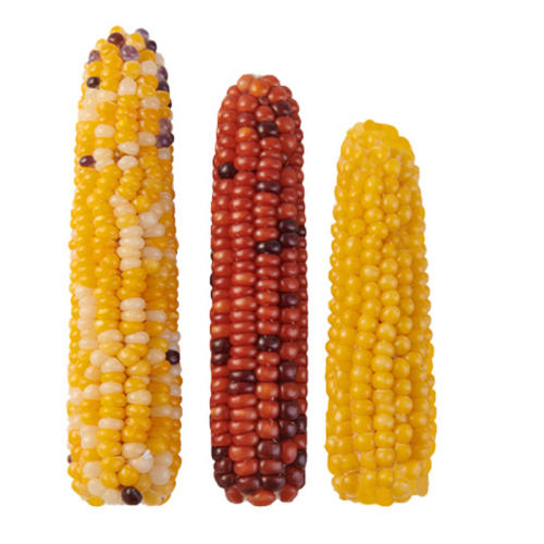 û顿С3װ 8-13cm ʳĥ׹˿7.8Ԫ