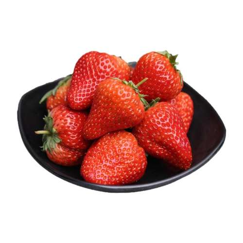 500g С20g£ֱ ֻٷ99ݮ31Ԫ
