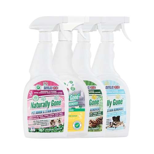 750ml èøֽ234.66Ԫ3(78.22Ԫ/88VIP 95)