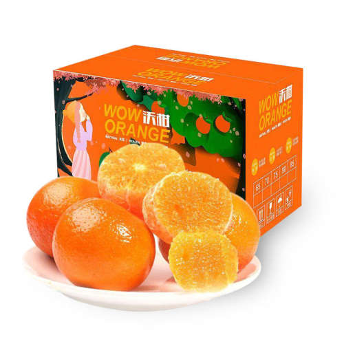 ڲ5 65-70m ڹָ̾Ʒװ֭Ӧˮ19.9Ԫ