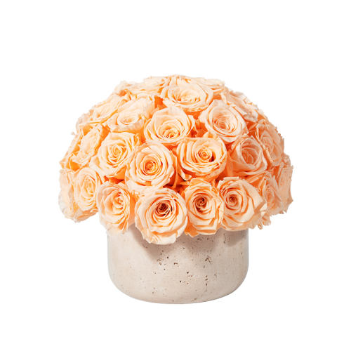 ƶʯͰɫ JoyFlowerƶʯͰڼ799Ԫ