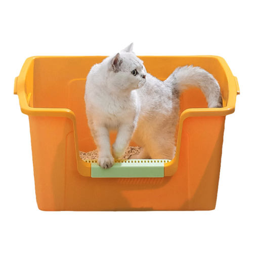 50cmɫèɰ New Pet/èɰ賬17.8Ԫ