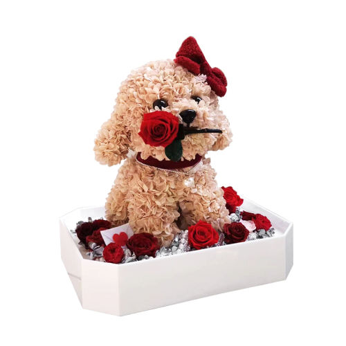 ɫ̩Ϲõ joyflowerд1284Ԫ