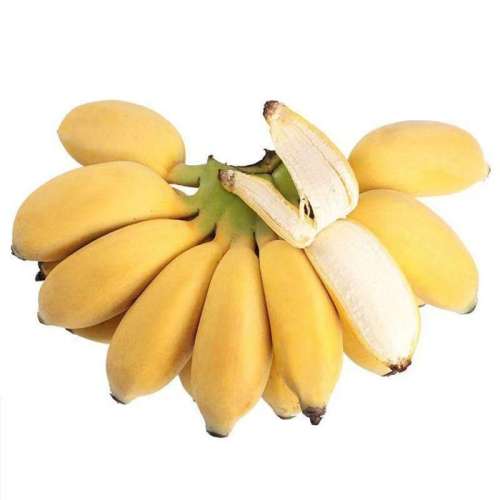 3 ڹС׽ˮС㽶ֱСŽС9.79Ԫ