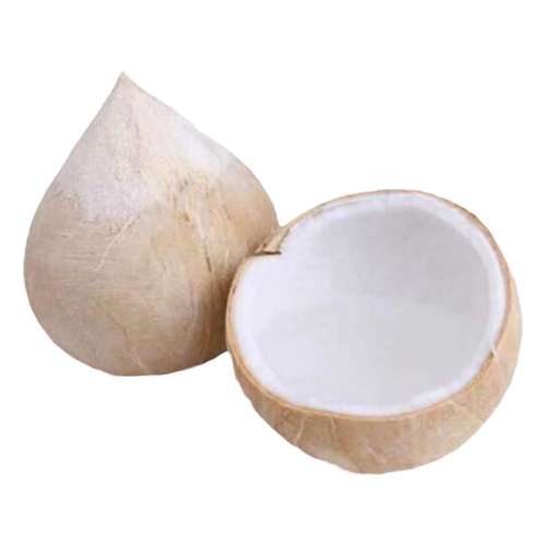 4 450-600g ˳СҬţҬ69Ԫ