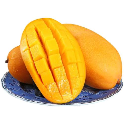 2 С 200g+ ںϽâ ˿12.9Ԫ