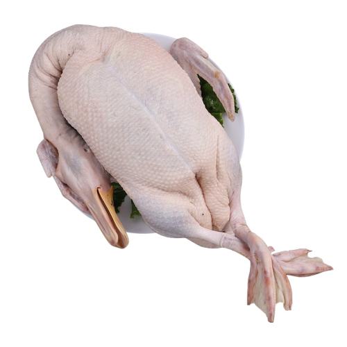 6-7شѼ5ɢɱ ʲκ±ϰ 5ѼũɢѼɱ325.2Ԫ4(81.3Ԫ/)