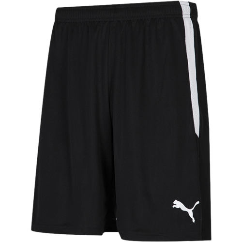 704924-03 S(170/70A) Puma̿¿˶171Ԫ2(85.5Ԫ/88VIP 95)
