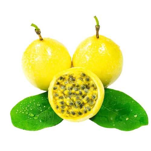 1g 䡾12öװ50g+С?? ѡװ۰13.9Ԫ
