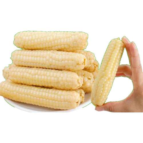 ڲ500g װ ˫ĴָŴСָ׶ͯ5װ17.5Ԫ