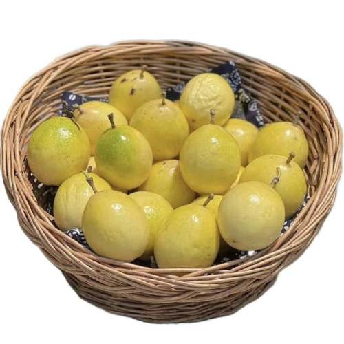 3 С40-60g 9ŻƽֱԴ ֱӳ45.89Ԫ