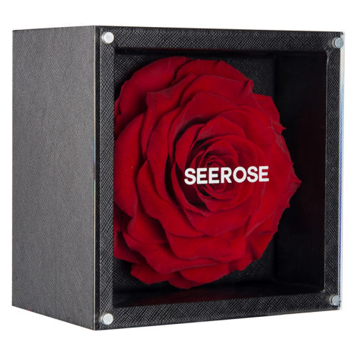 -տɫ SEEROSEľʾõ359Ԫ
