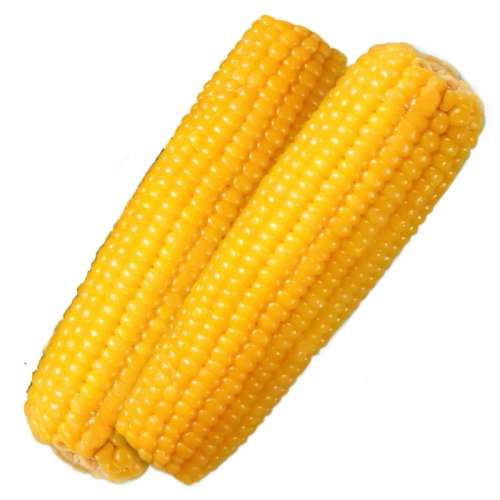 1800g 2024ջŴװ39.72Ԫ2(19.86Ԫ/)