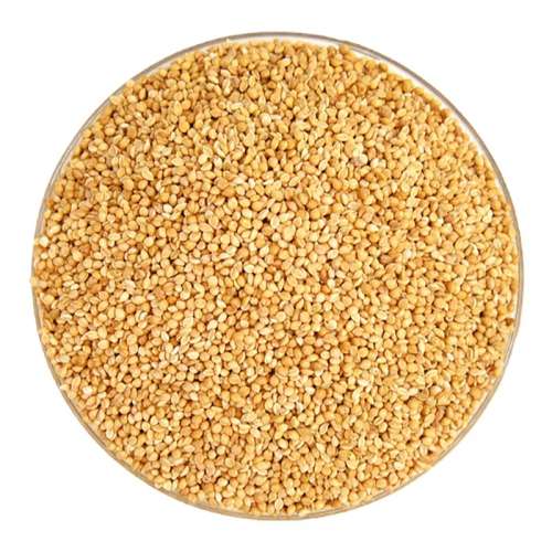 500g »ƹӴСʳСĵƹ5.38Ԫ