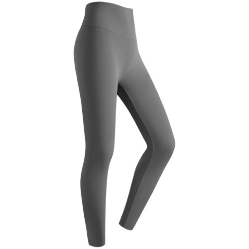 ɫ XL 361٤Ů209.7Ԫ3(69.9Ԫ/)
