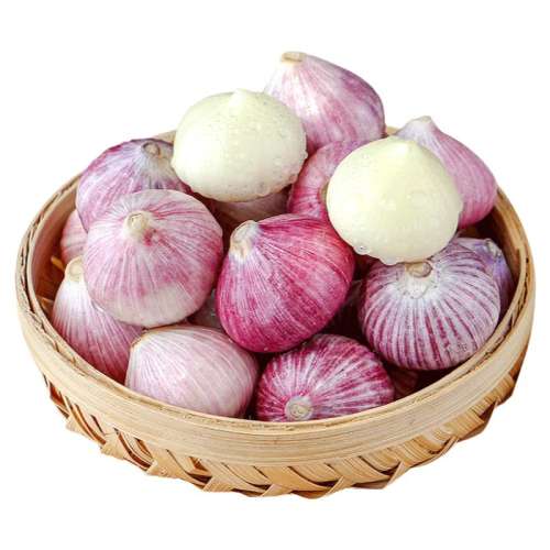 ڲ250g ͷС顾2.0cm¡ 5Ƥͷƹ5.5Ԫ