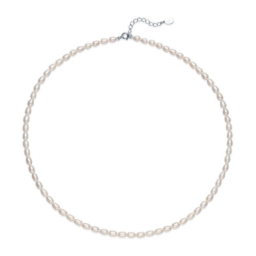 4-5mm 40+3cmβ ˮСװɫ897Ԫ3(299Ԫ/)