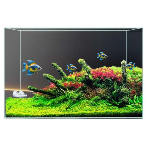 𾧳25*15*20cm6 ߳ײС쾰̬Ϫÿڹ181.2Ԫ4(45.3Ԫ/)
