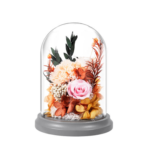 кšҰ()ܰ joyflowerܰ˽208Ԫ2(104Ԫ/)