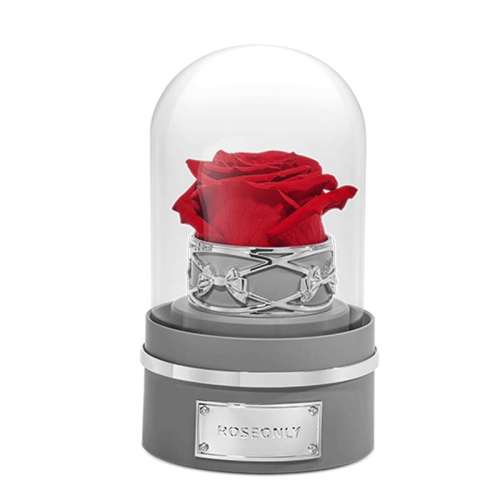 HOT---ɫ ROSEONLYн1520Ԫ